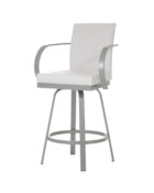 Metal Finish: 56 Titanium • Back and Seat Covering: Discontinued