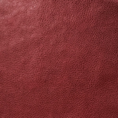 Ford Red
